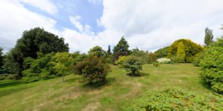 Emmets Garden